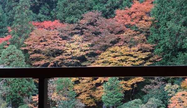 客室からの風景（秋）