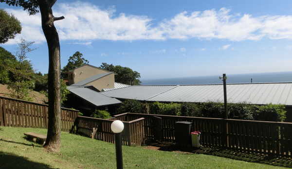 竹林のドッグラン