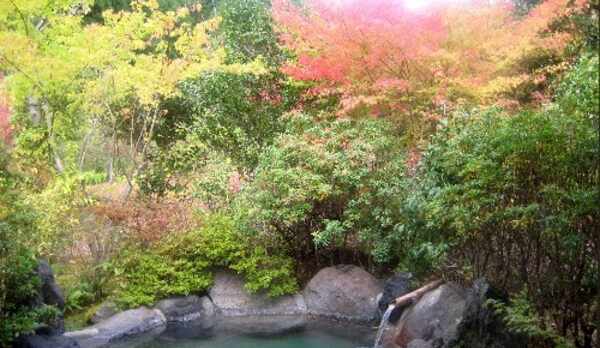 露天風呂付２間すずしろ秋の露天風呂