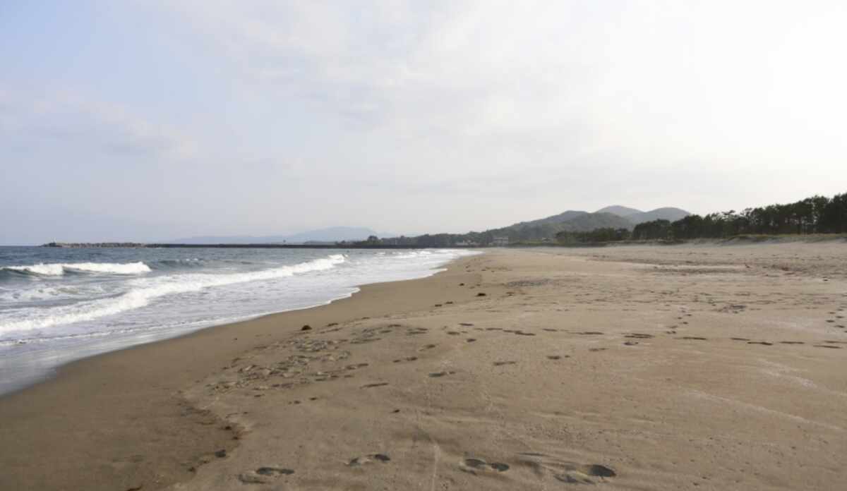 黒潮町のホテル 旅館 宿泊予約 価格 Com