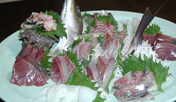 sashimi