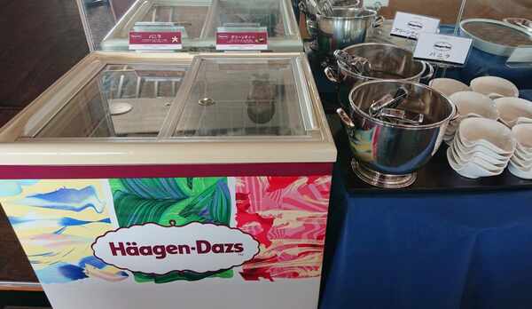 【期間限定】ハーゲンダッツ
