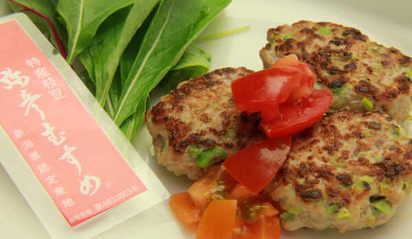 ◆【わんちゃんまんま・わんバーグ】地元特産枝豆「弥彦むすめ」入りの越後もち豚ハンバーグです。