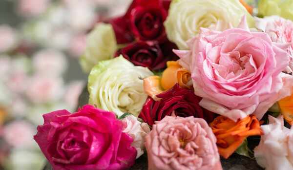 *土曜日女性限定生バラ風呂