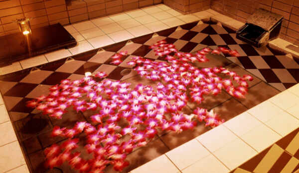 plan_風呂（貸切麗）