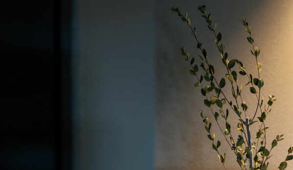 【VMGコンフォート（ハリウッドツイン）・109】