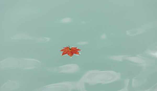 【露天風呂】まるで絹のようになめらかな泉質をご堪能下さい。