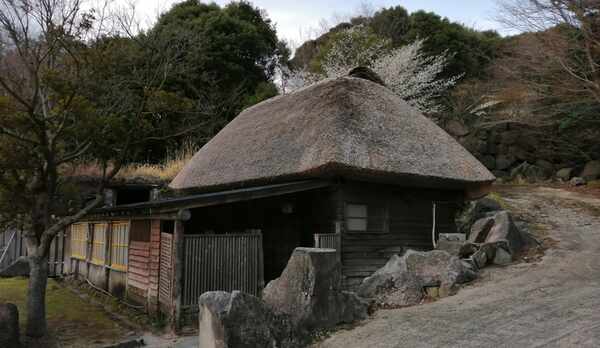 茅葺ハウス　外観