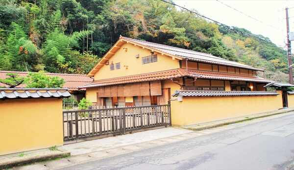 ユズリハ 1000枚