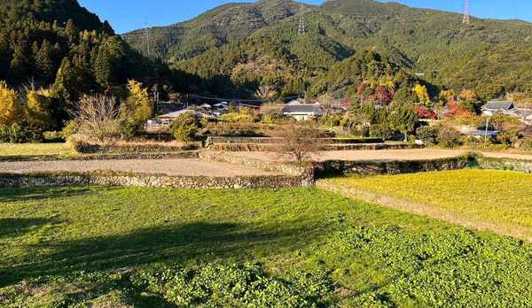 客室からの風景