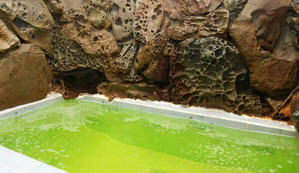 【浴室】小さいタイプですが男女別でご利用できます。