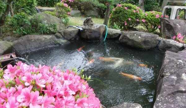 庭園
