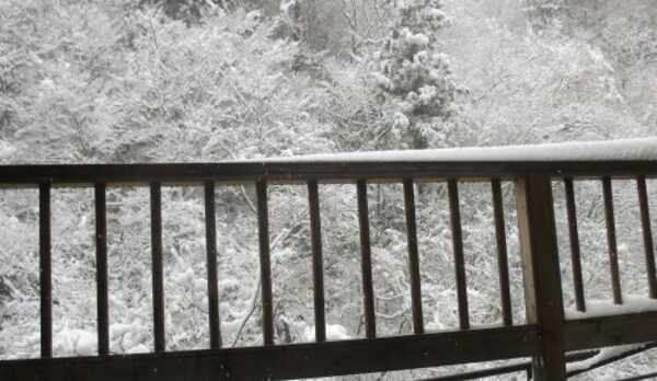 雪景色　かわせみ