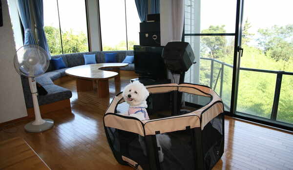 ペットと一緒にお泊り