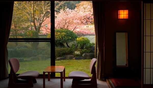 お部屋〜お花見