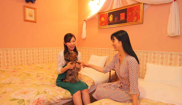 客室一例（セミスイート）