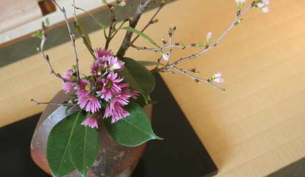 客室の生け花