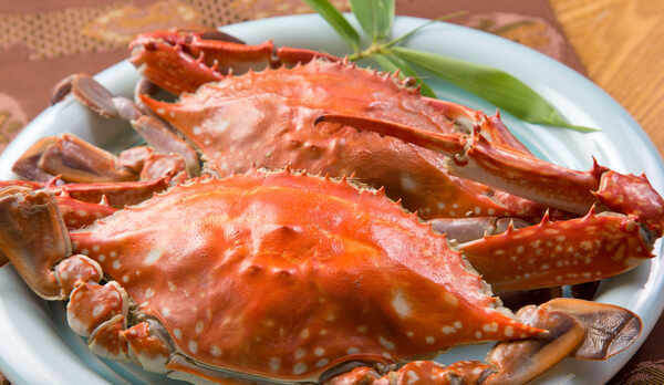 【ご夕食イメージ】