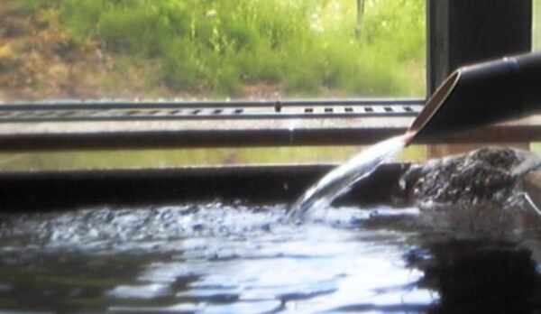 お亀の湯　内風呂