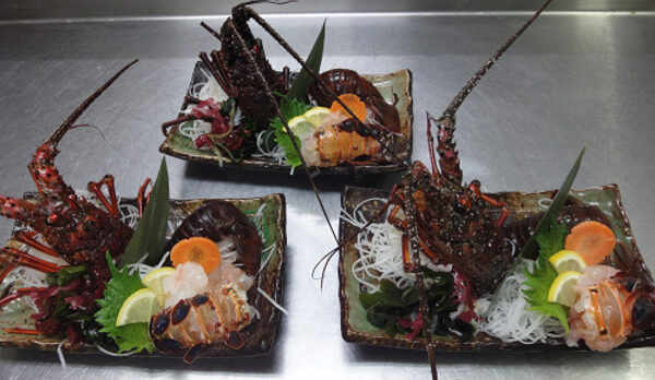 伊勢海老のお刺身