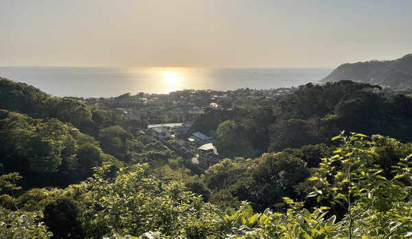 ・【景観】高台からの眺め。南房総の自然と一体になれます