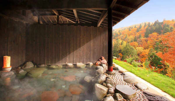 印象派の絵の様な、色彩の回廊に幻惑される秋。