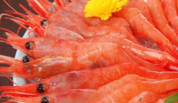 甘エビの樽盛り