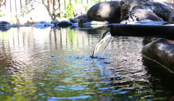 天然温泉100％！！贅沢なお湯をご堪能ください