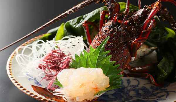 伊勢エビをお造りで頭は朝のお味噌汁に