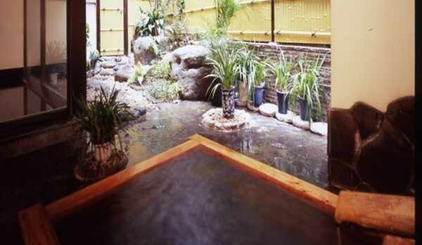 湯処はすべて源泉掛け流し「鳥の湯」