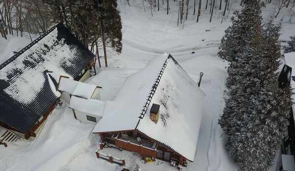 テラス / パティオ