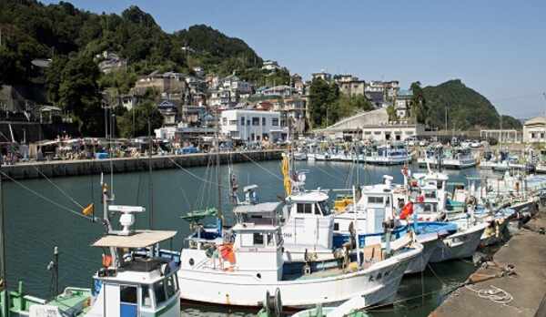 石鏡漁港。この港から、何隻もの船が、出漁します。当館の船も、ここから出発して、皆様に召し上がっていた