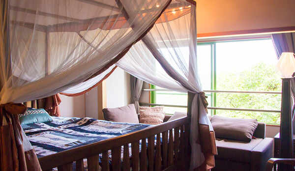 201　アフリカンキングのお部屋