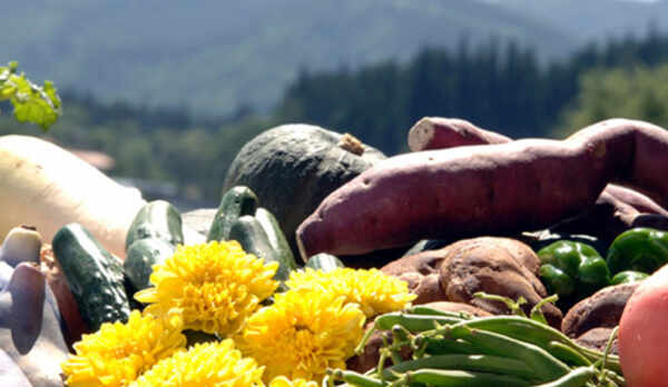 *新鮮な地元産の野菜