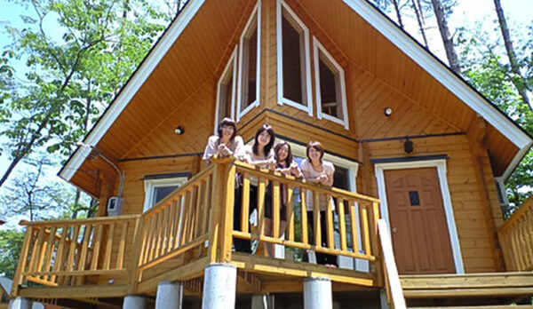 ・ログスタイル　小(ペットＮＧ)：外観