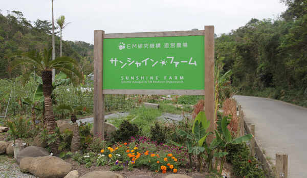 ●ホテル自社農園【サンシャインファーム】