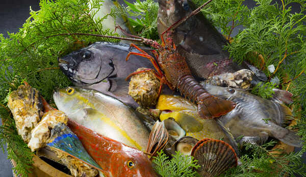 旬の魚を提供しています