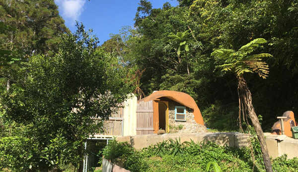 夜は蛍が舞う。（６月から１０月）