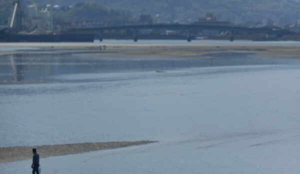 広がる干潟の景色