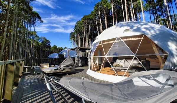 森の中に16のテントが立ち並ぶグランピング施設。喧騒から離れた緑が近いグランピングを楽しめます