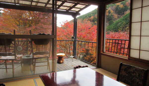 部屋からも大自然を堪能できます