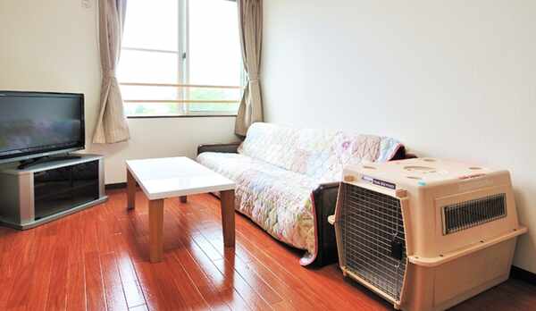 *ツイン（客室一例）/お部屋の床は、ペットが歩きやすい床材を使用しております。