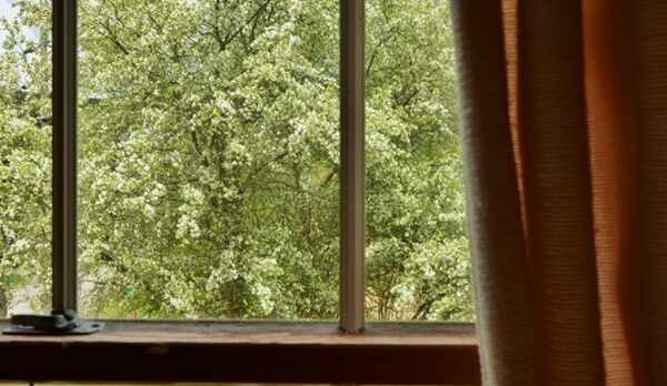 客室の窓から見ると