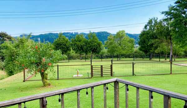 専用ドックラン