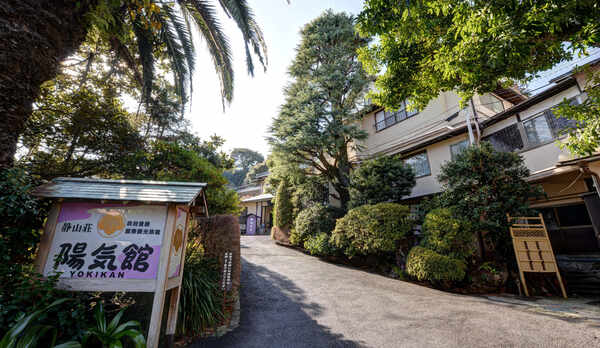 下田大和館・青山やまと 優待券 - その他