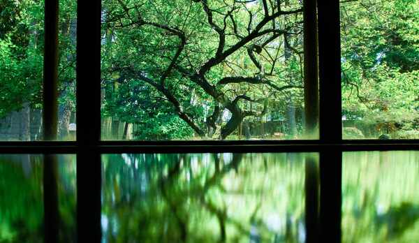 大浴場での一枚