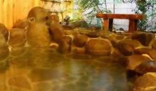 森を眺めながら日頃の疲れを癒してください