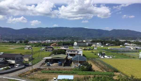 お部屋から一望できる九度山の田園と紀伊葛城山