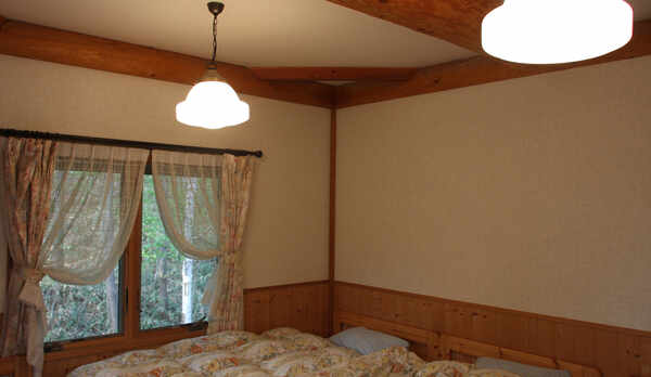 ペンションタイプ