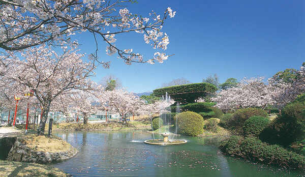 桜のきれいな景色